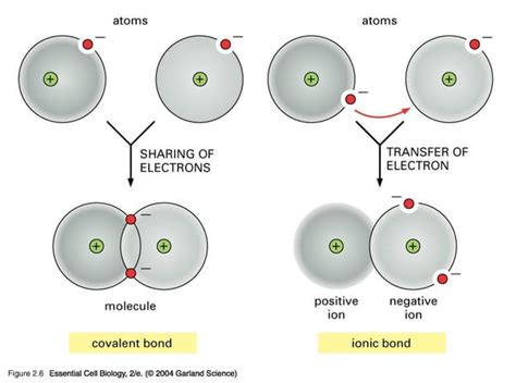 The Difference Between Ionic And Molecular Compound