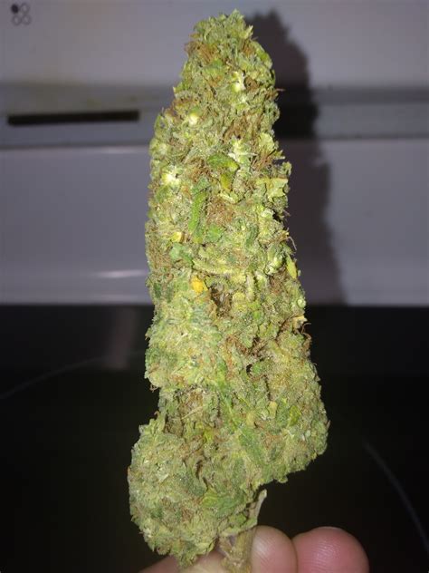 Poll Whats The Largest Nug Youve Ever Gotten Theocs
