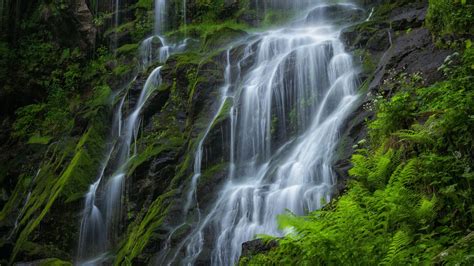 Download Wallpaper 1366x768 Waterfall Beautiful Rocks Fern Moss