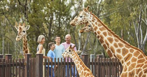 Zoos And Wildlife Nsw Plan A Holiday Animal Experiences And Wildlife