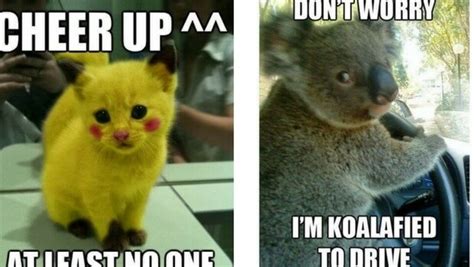 There are so many things out there you can enjoy right now and can make you feel happy. 33 Memes To Cheer You Up And Make Your Day Instantly Better