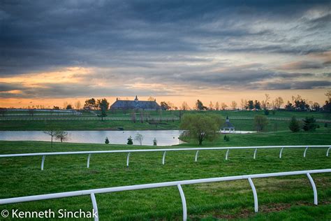 Donamire Horse Farm Racefan7 Flickr