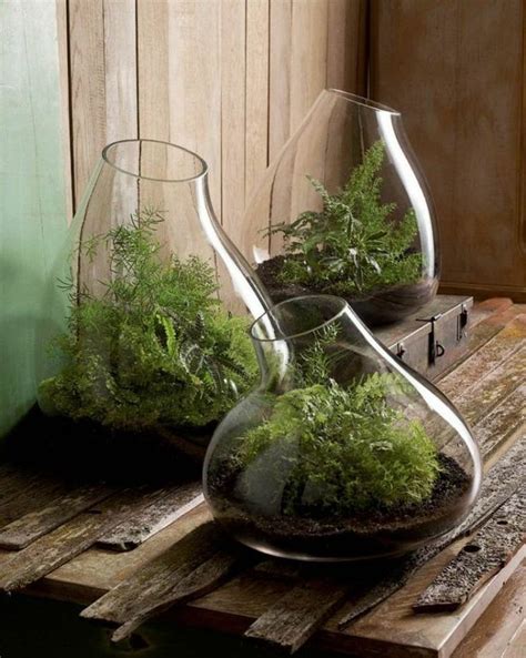 Un Terrarium De Plantes Magnifique Pour Votre Maison Succulents In Glass Terrarium How To