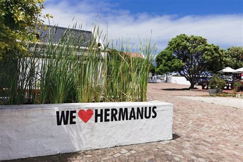 5 Best Things To Do In Hermanus With Kids Besides Whale Watching