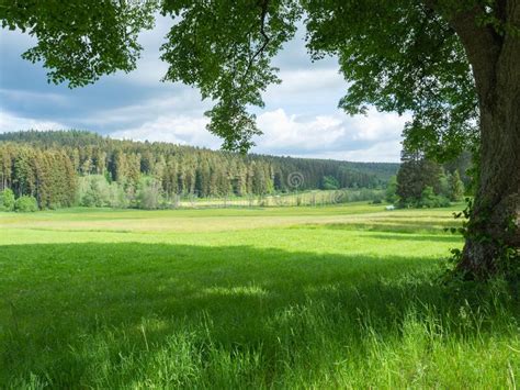 Black Forest Germany May 28th 2022 View Over A Wide Valley Towards