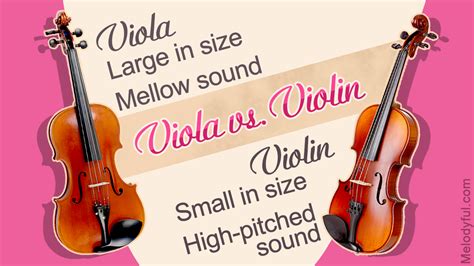 How To Tell The Difference Between Viola And Violin