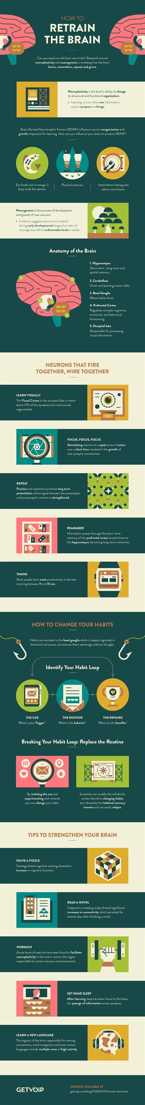 Break Bad Habits By Training Your Brain Daily Infographic