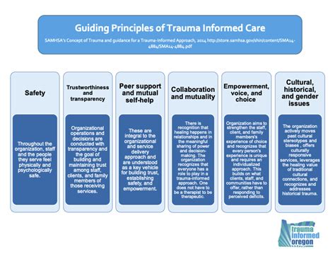 Tio Trauma Informed Care Principles