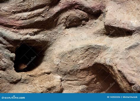Lizard Hiding In Cave Stock Photo Image Of Pattern Animal 14353326