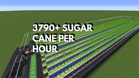 Huge Sugar Cane Farm Tutorial Lossless Youtube