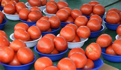 Tomatoes For Sale Free Stock Photo Public Domain Pictures