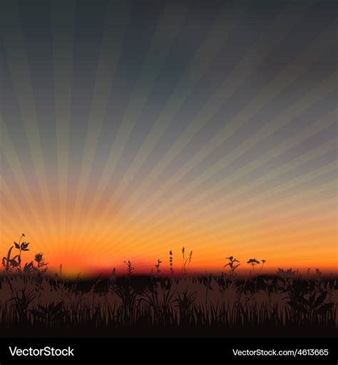 Sunset Meadow Royalty Free Vector Image Vectorstock