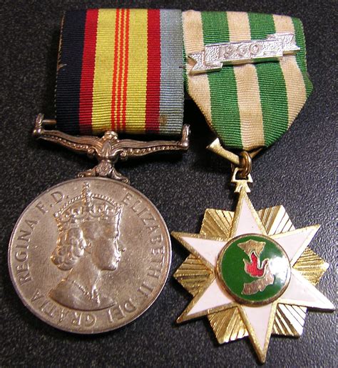 Lost Medals Australia Vietnam War Pair