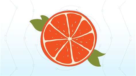 Beginners Guide To Vector Drawing In Illustrator Course Ofcourseme