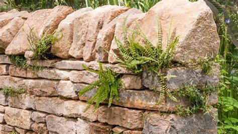 The Dry Stone Walls Are Charmingly Planted With Ivies And In Particular