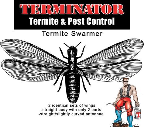 Whether you have bed bugs, termites, spiders, silverfish, or cockroaches, our clegg's fayetteville team is ready to leap into action protecting your home with a variety of pest. Termite Season is here, so here's how you can identify a ...
