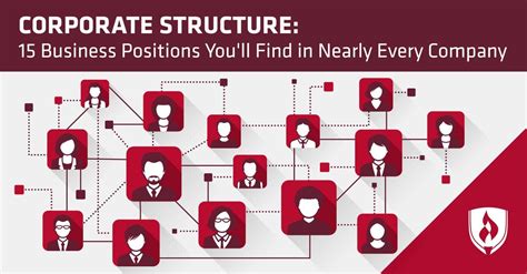 Corporate Structure Breaking Down 15 Business Positions Youll Find In