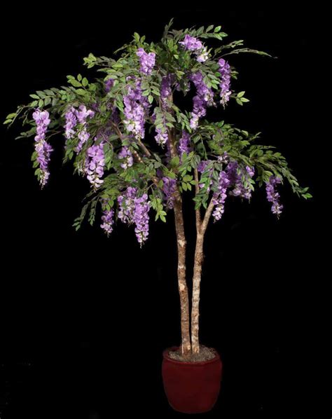 I have a chinese wisteria tree, purple, and 2 chinese wisteria vines, i think. Artificial Wisteria Tree | TreeScapes & PlantWorks