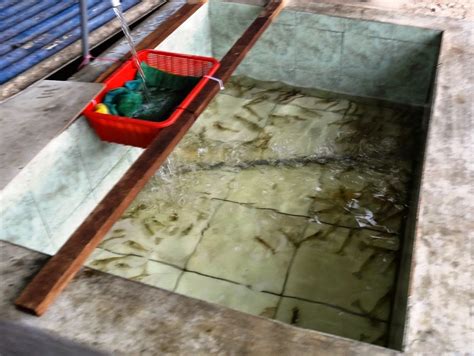 Kolam pancing afprow mencari tuan punya gari ikan. Fishing Spots in Kuala Lumpur & Selangor: Kolam Pancing ...