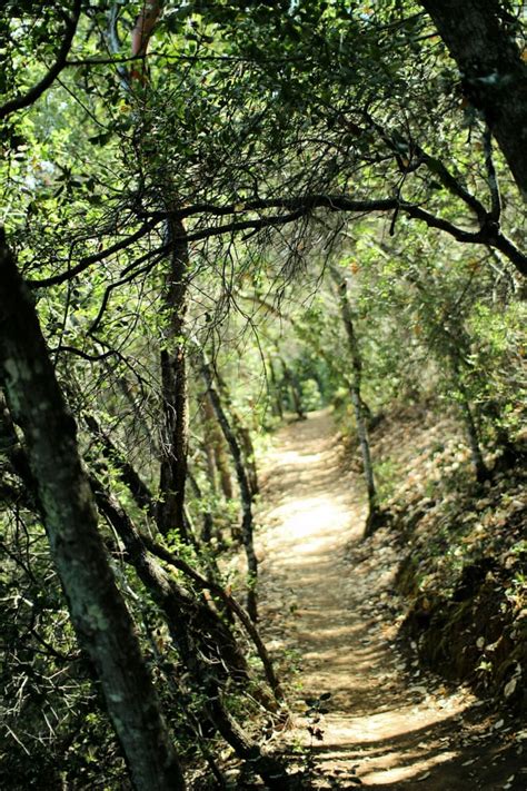 Uvas canyon county park — a park east of the santa cruz mountains, in morgan hill, santa clara county, california, with many waterfalls. Uvas Canyon County Park - 492 Photos & 168 Reviews - Parks ...