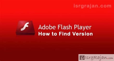 It provides superior video playback and advanced streaming media capabilities directly within your browser. Adobe Flash Player Version 11.1.0 - eroclever