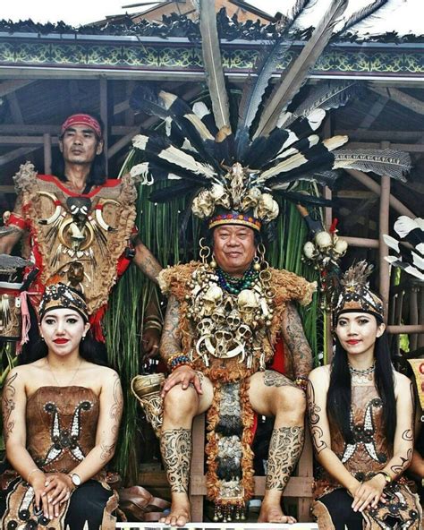 Suku Dayak Kalimantan Newstempo