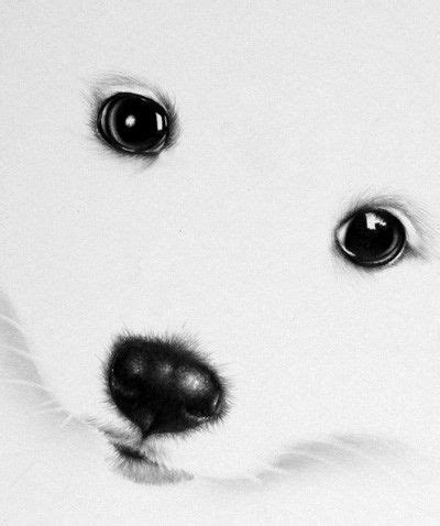 Want to discover art related to cute_animals? White Puppy Pencil Drawing Fine Art Print Signed by Artist ...