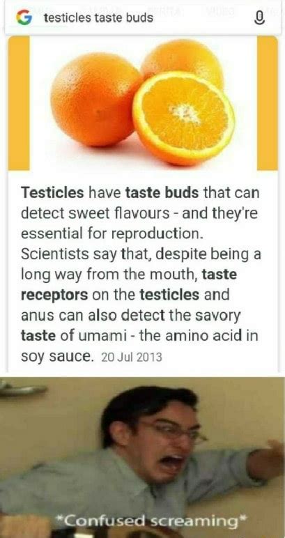 G Testicles Taste Buds © Testicles Have Taste Buds That Can Detect Sweet Flavours And Theyre