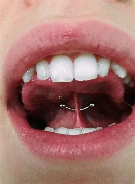 Tongue Frenulum Piercing Body Jewelry Piercing Piercings Frenulum Piercing