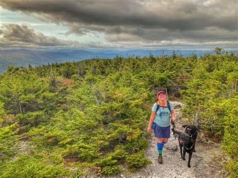 Highlights Of The Green Mountain National Forest In Vermont