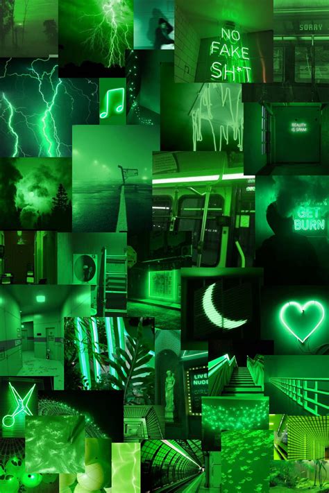 Green Aesthetic Wallpaper👄💚 Dark Green Aesthetic Green Aesthetic