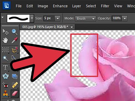 How To Remove Background With Photoshop Elements Photoshop Elements