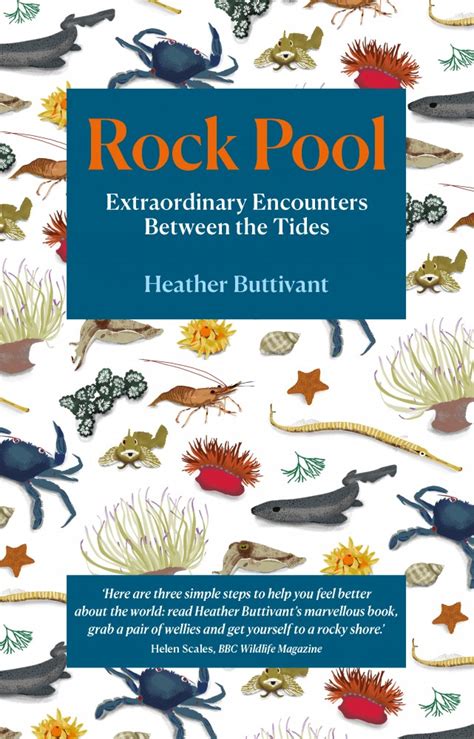 Rock Pool Book Reviews The Rock Pool Project