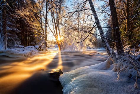 Nature Hdr Landscape Scenery Season Winter View Colors Snow Ice Clouds Sky Sunset Tree Trees
