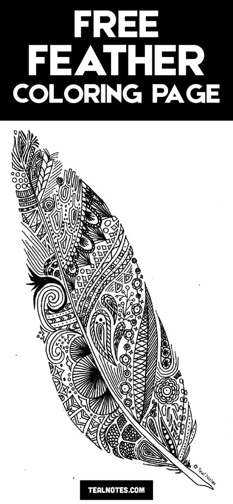 Put together, they represent beautiful patterns in which you can recognize a feather only by outlines. Free Feather Coloring Page For Adults And Kids
