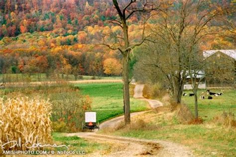 Bill Colemans Images Of Autumn Amish Country Amish Farm Autumn Scenes