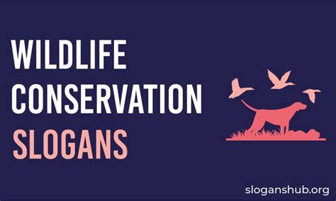 37 Creative Wildlife Slogans And Sayings