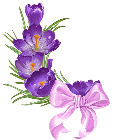 Bunga Saffron Png Gambar Bunga Hd