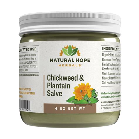Herbal Salve Chickweed And Plantain 4 Oz Walnut Creek Foods