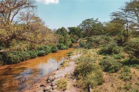 Scenic View Of Athi River At Nairobi National Park Y Stock Photo