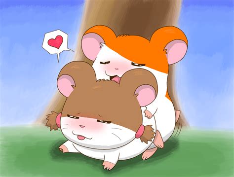 Rule 34 1girls Blush Female Hamster Hamtaro Hamtaro Series Male Sex Shadowlink350 Sparkle