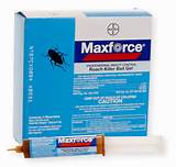 Pictures of Maxforce Professional Insect Control