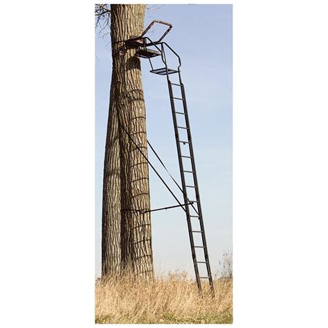 Big Game The Skybox 20 Deluxe Ladder Tree Stand 627414