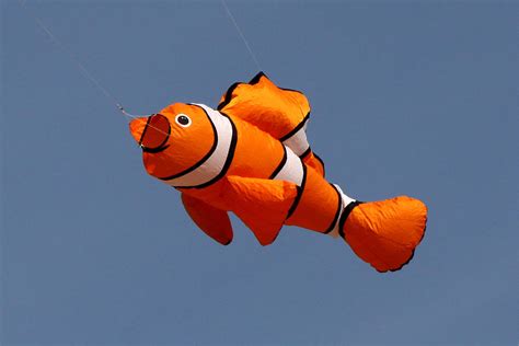 Nemo Clown Fish Kite Photograph By John Rockwood
