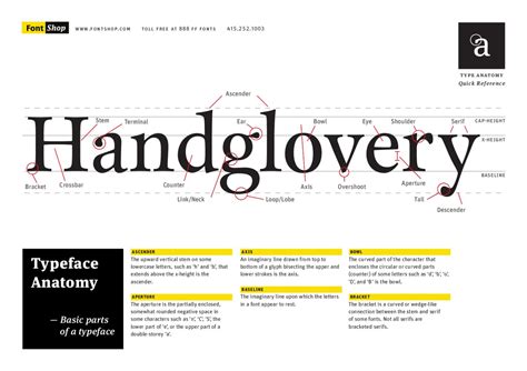 Typefaceanatomybasicpartsofatypeface By Cf Cg Issuu