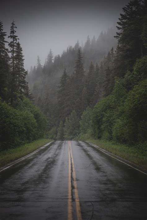Rainy Road Pictures Download Free Images On Unsplash