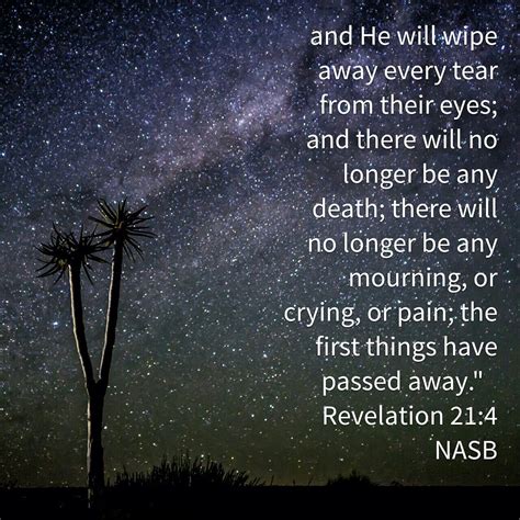 Revelation 214 Nasb Daily Scripture Revelation 21 4 The Fool