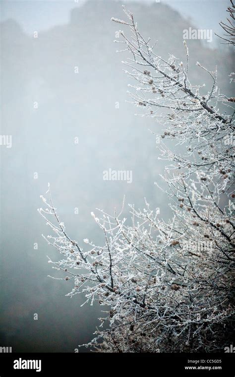 Ice Rimmed Trees Wuling Mountain Beijing China Stock Photo Alamy