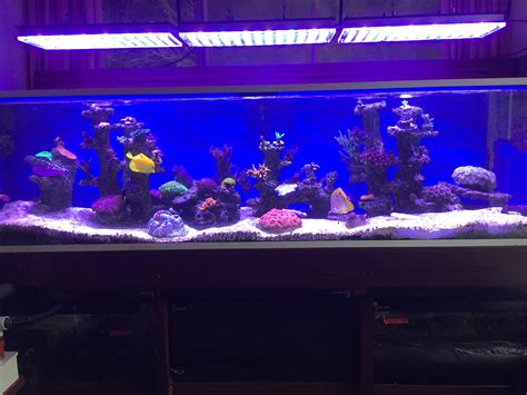 This is a series explaining lighting for a planted aquarium. 1400 liters Aquarium Makeover In UK with Atlantik LED ...