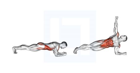Front Plank With Twist Guide Benefits And Form